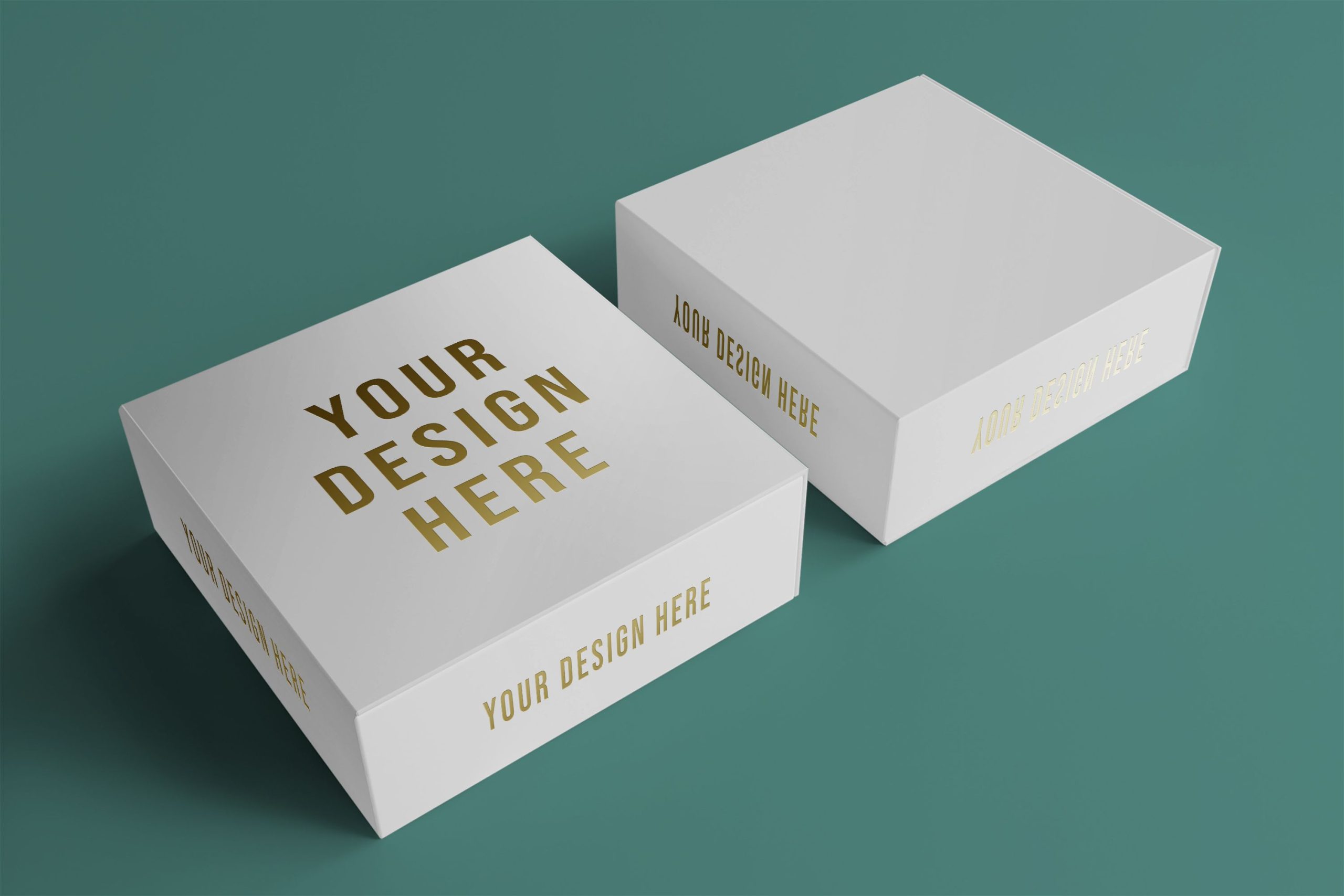 Product Gallery Image