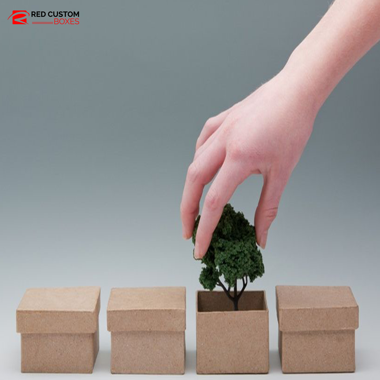 conatct Main Image Alt